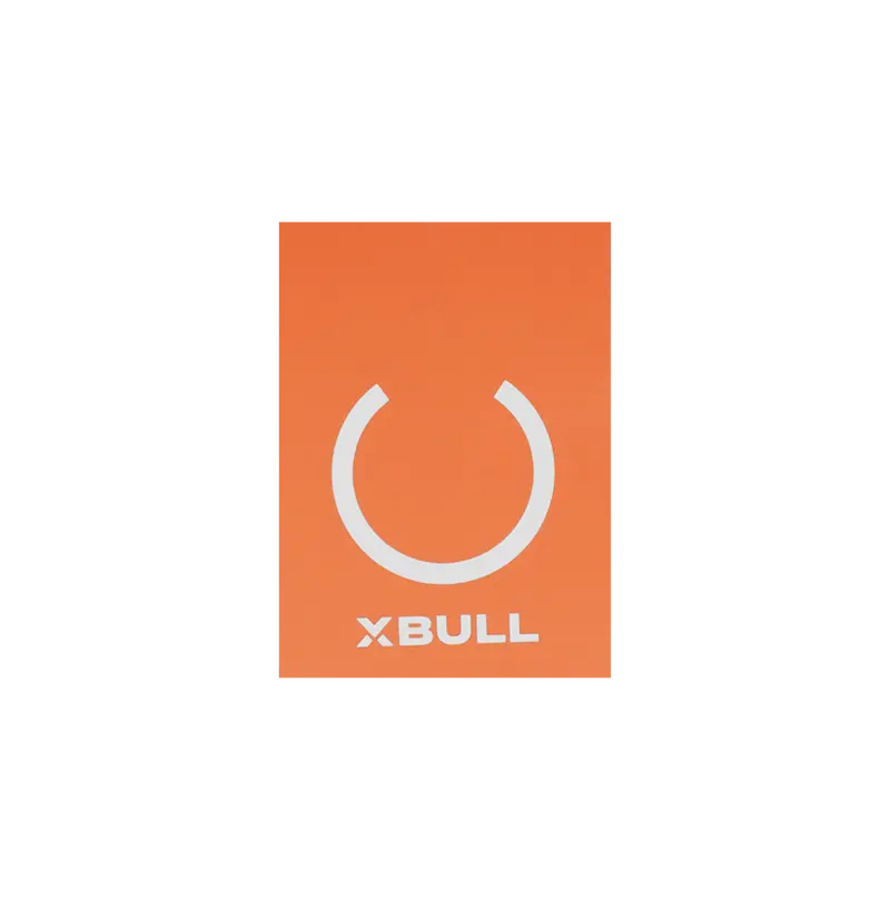 Sticker Set – von XBULL, ohne Montage , MAN TGE,Sprinter 906,Sprinter 907,VW Crafter – XBULL Offroad Eisenach – Bild 9