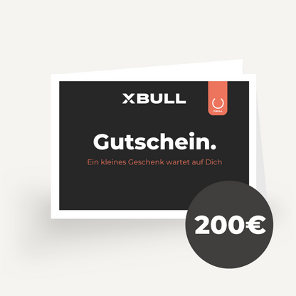 XBULL Geschenkgutschein – von XBULL, 50,00 € , MAN TGE,Sprinter 906,Sprinter 907,VW Crafter – XBULL Offroad Eisenach – Bild 8